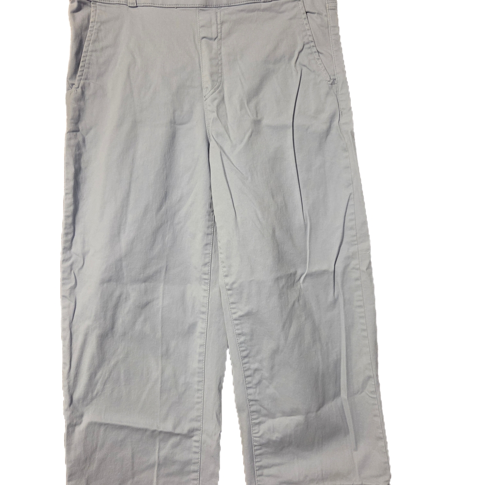 Light Gray Casual Pants